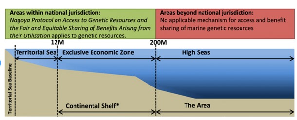 Current approaches for addressing overfishing flawed: India at the WTO.