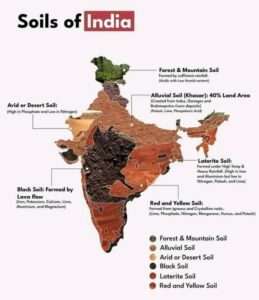 Indian Soils