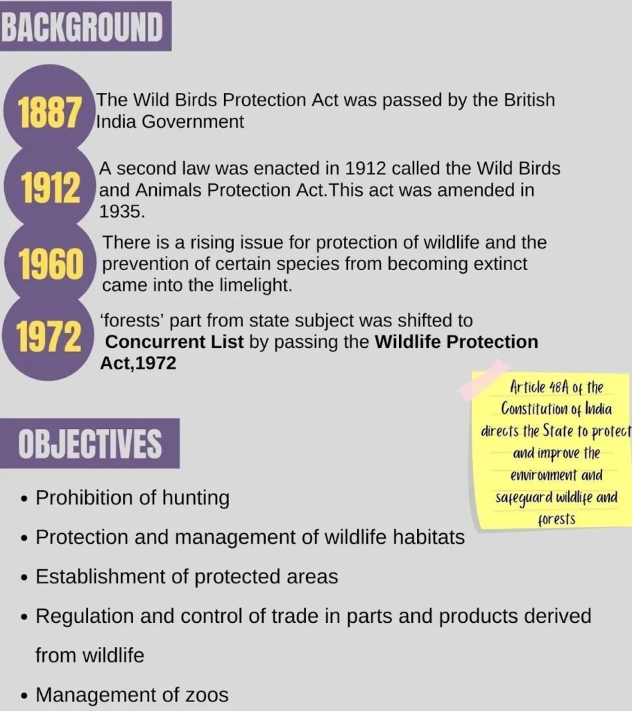 Background and Objectives:
(Amnesty Scheme)