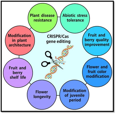 CRISPR-Cas9 Gene-Editing