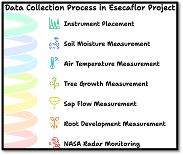 Data Collection Process in Esecaflor Project of Amazon rainforest