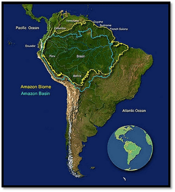 Amazon Rainforest: