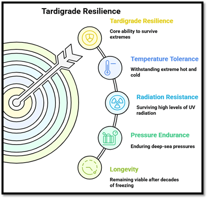Tardigrades resilience: