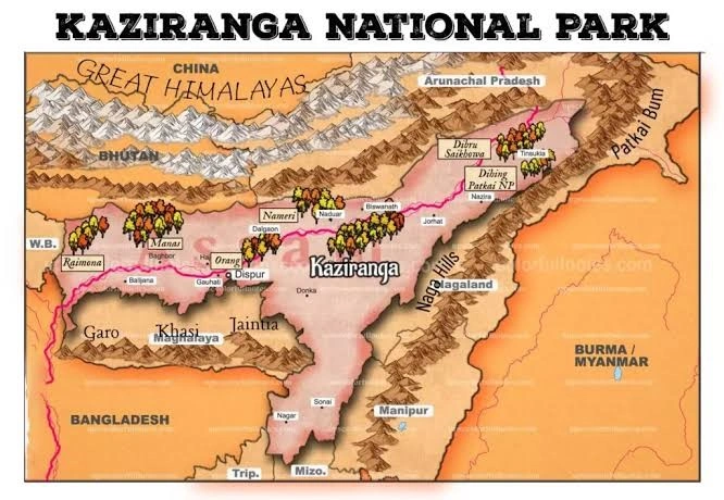 Kaziranga National Park