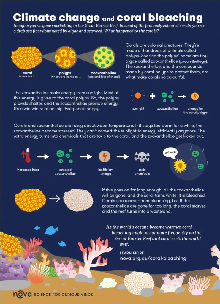Climate change and Coral Bleaching:
(Coral Reefs)