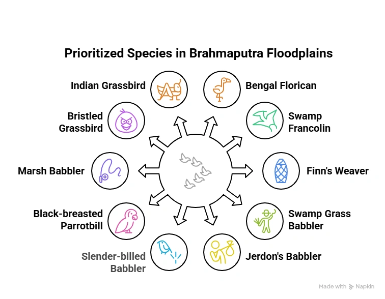 Prioritized Species in Brahmaputra Floodplains: