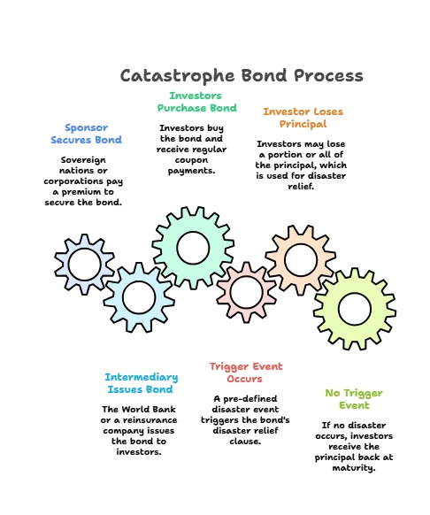 Catastrophe bonds (cat bonds) Process