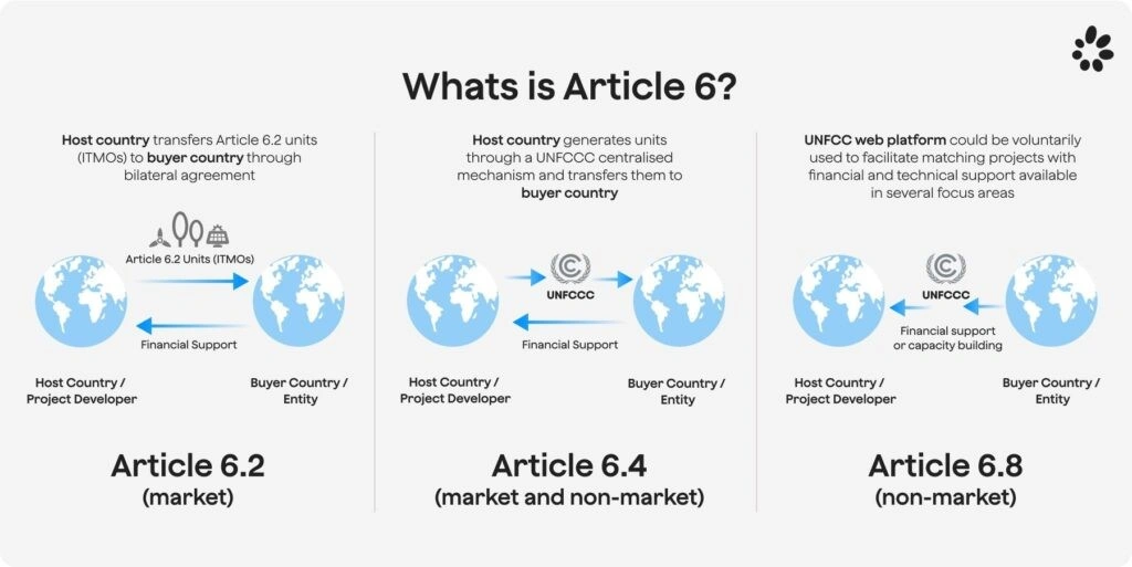 What is Article 6?