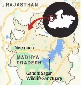 Gandhi Sagar Wildlife Sanctuary