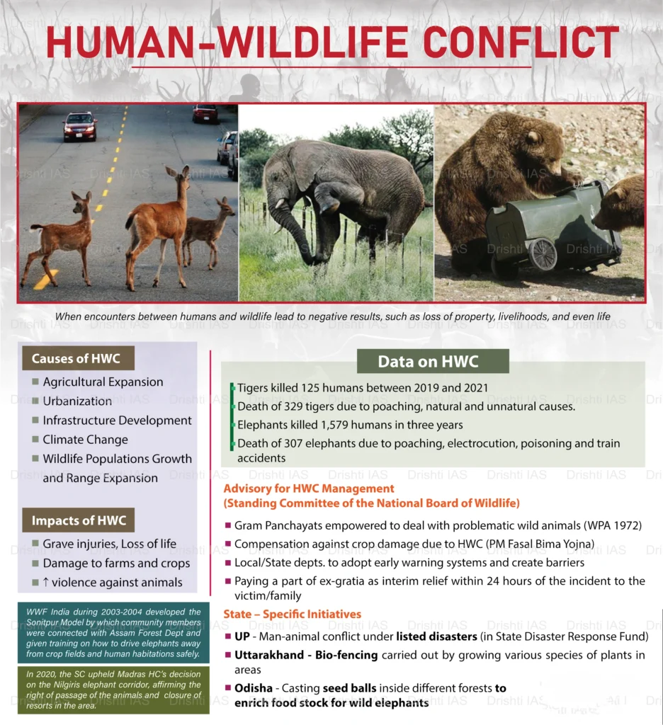 Human–Wildlife Conflict (HWC)