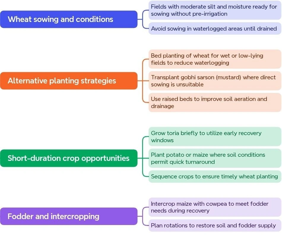 Returning to Normal Cropping Cycles: