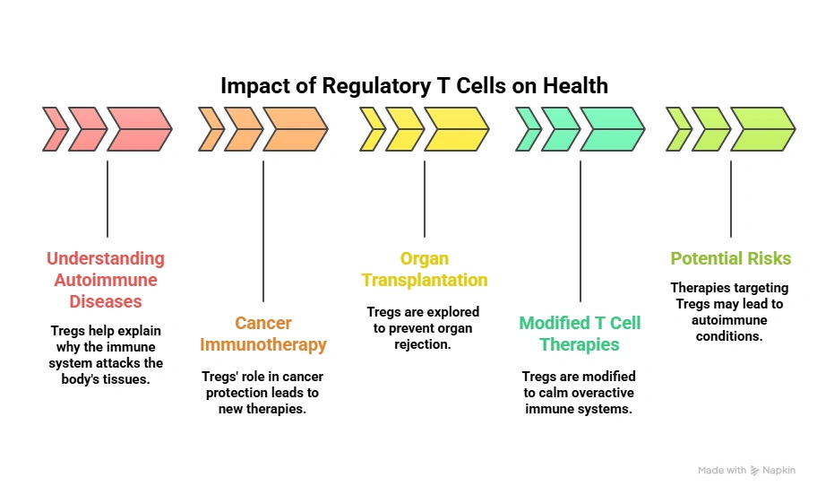 Impact of Regulatory T Cells on Health