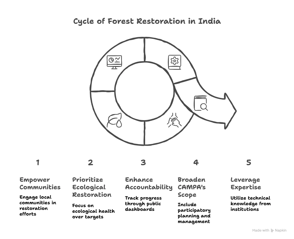 Cycle of Forest Restoration in India: