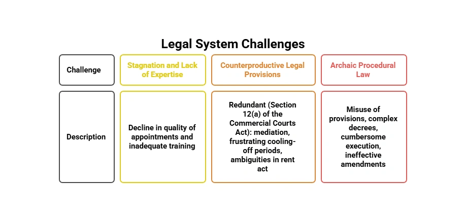 Legal System Challenges: