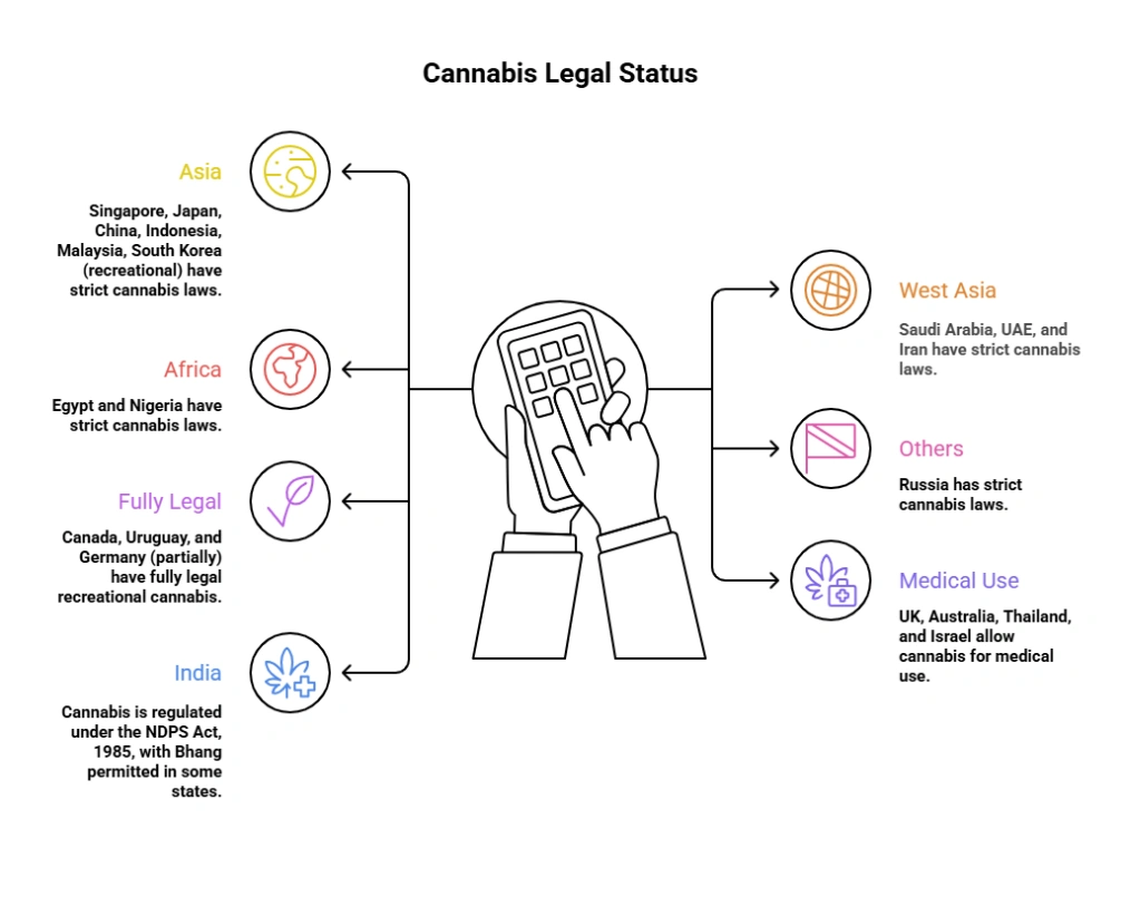 Cannabis Legal Status