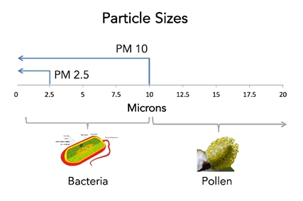 Particle Sizes
