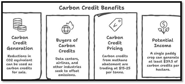 Carbon Credit Benefits