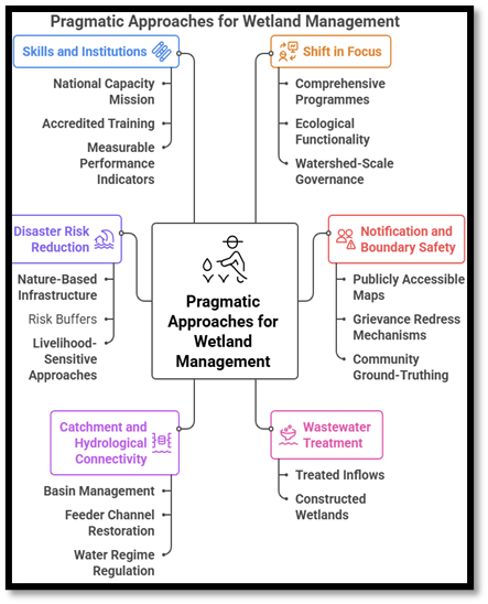 Pragmatic Approaches for Wetland Management