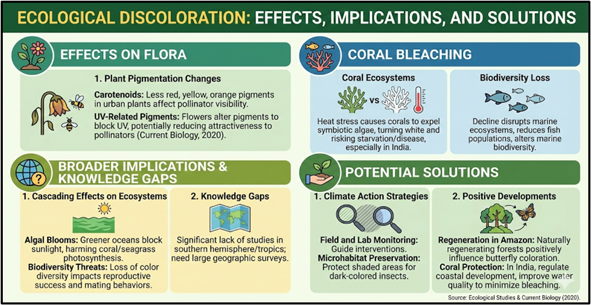 Ecological Discoloration: Effects, Implications, and Solutions