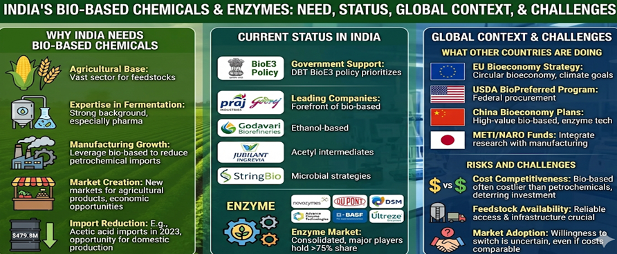 India's Bio-Based Chemicals & Enzymes: Need, Status, Global Context, & Challenges