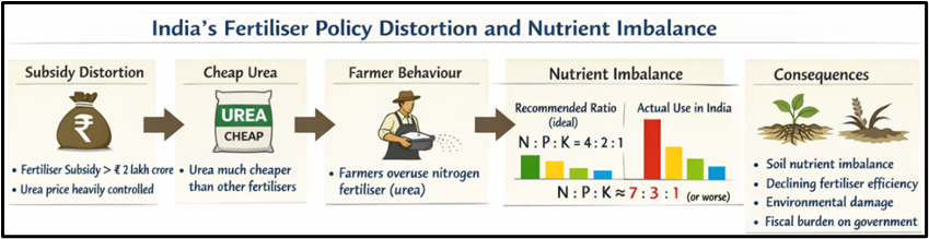 India's Fertiliser Policy Distortion and Nutrient Imbalance
