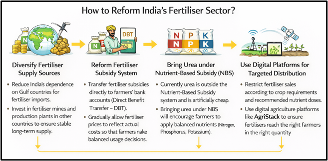 How to Reform India's Fertiliser Sector?