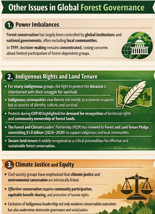 Other Issues in Global Forest Governance
(TFFF: Rethinking Global Forest Finance at Belém)