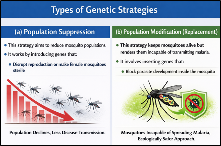 Types of Genetic Strategies