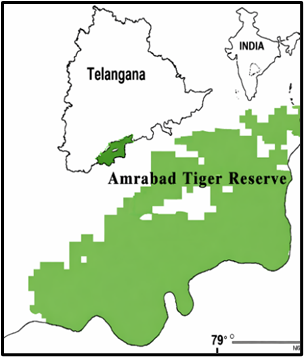 Chenchu Tribe Protests Relocation from Amrabad Tiger Reserve