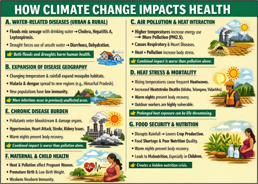 How Climate Change Impacts Health