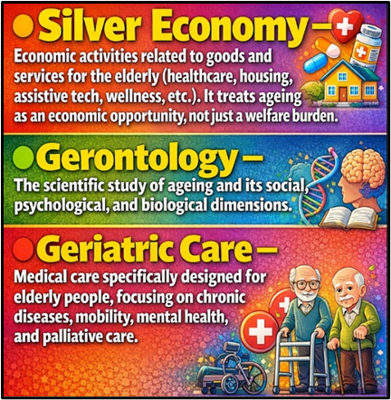 Silver Economy, Gerontology, Geriatric Care