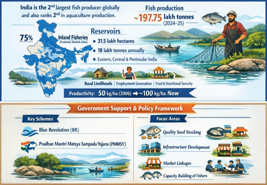 Government Support & Policy Framework