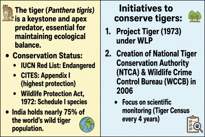 Conservation Status and Initiatives to Conserve Tigers: