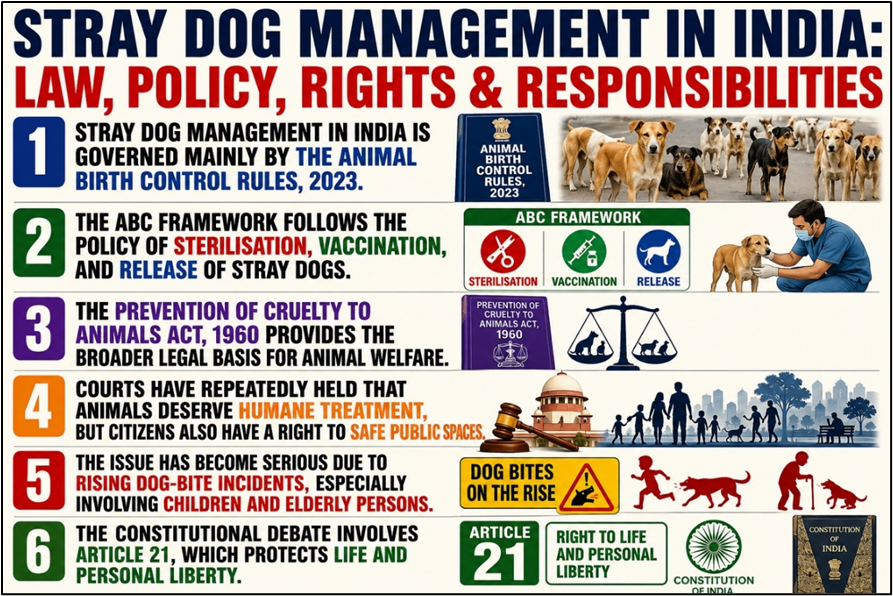 Stray Dog Management in India:
Law, Policy, Rights & Responsibilities