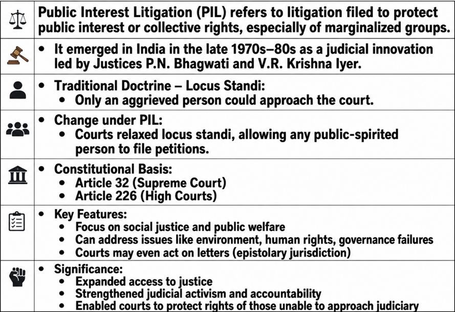 Public Interest Litigation (PIL)