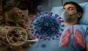 Hantavirus Threat and Global Public Health Risks