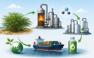 Green Methanol Project: Policy on Invasive Species Use