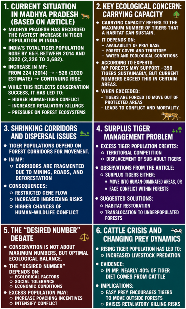 1. Current situation in Madhya Pradesh (based on article)
2. Key Ecological Concern: Tiger Carrying Capacity
3. Shrinking corridors and dispersal issues
4. Surplus Tiger Management Problem
5. The "Desired number" Debate
6. Cattle Crisis and Changing Prey Dynamics