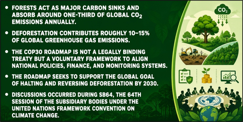 Background:
(Forest Finance and the Politics of Deforestation)