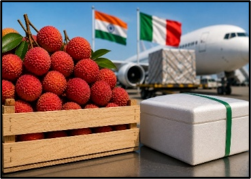 APEDA and India’s Agricultural Export Expansion