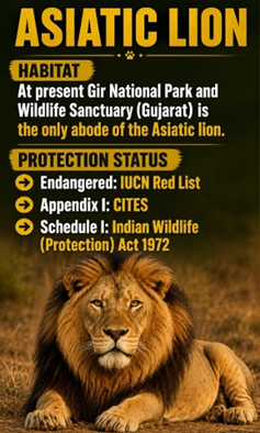 Asiatic Lion Conservation and Population Security