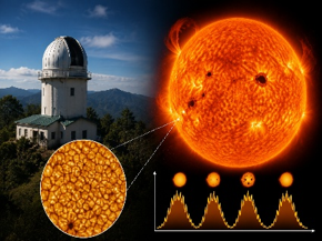 Solar Activity Cycle: Insights from Kodaikanal Data