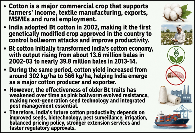 Cotton Productivity Mission: Rebuilding Yield Competitiveness
