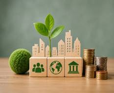Corporate Social Responsibility & India’s Development Agenda