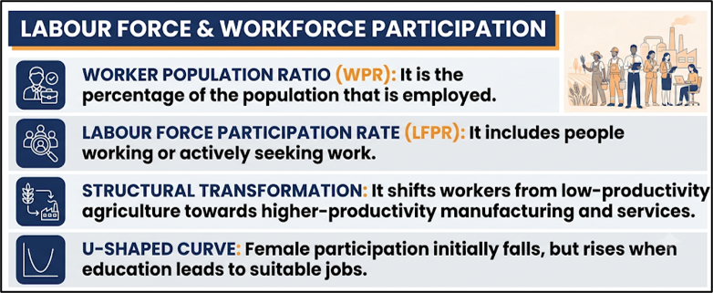Labour Force & Workforce Participation
(Women’s Employment)