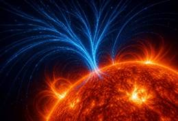 Magnetic Tree Hypothesis Validated Through Solar Dynamo Study