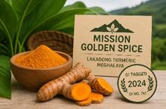 Lakadong Turmeric Value Chain Development