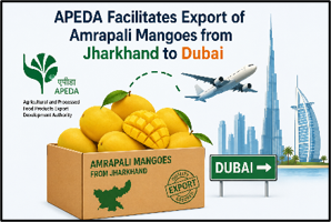 APEDA Mango Export and Farmer Producer Companies