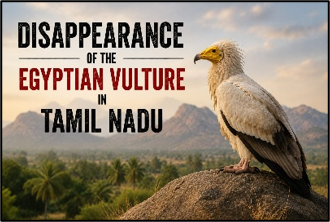Disappearance of the Egyptian Vulture in Tamil Nadu
(Egyptian Vulture Conservation)