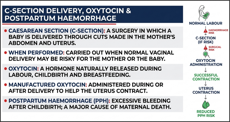 C-Sections Delivery, Oxytocin & Postpartum Hemorrhage
(Oxytocin in C-Sections)